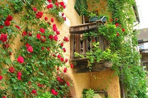 卡塔尔选手实现梦想，登上领奖台