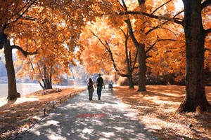 江苏苏宁客场逆转北京国安，赢得关键三分